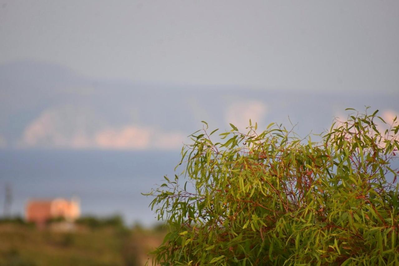 Anemomylos Apartments Lixouri Buitenkant foto